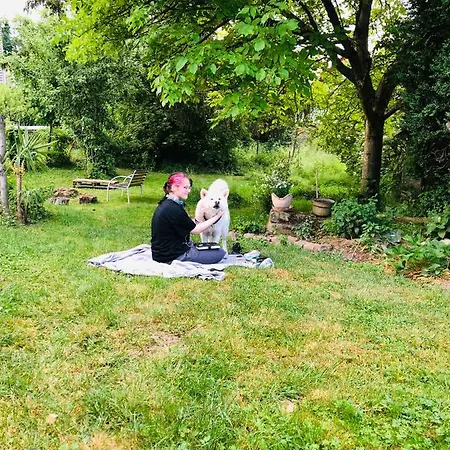 Trad. Blackforest House *