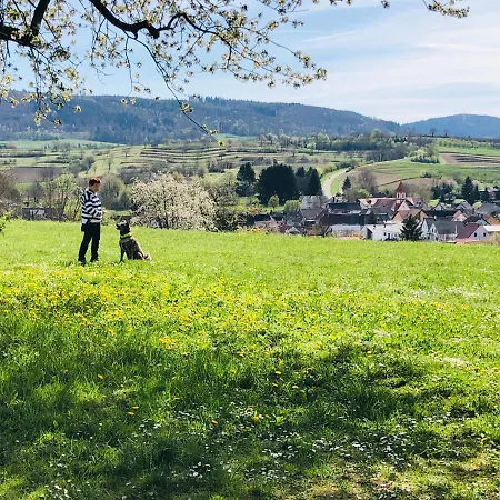 Trad. Blackforest House Habitación en casa particular *
