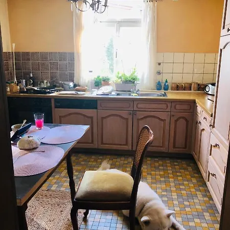 Trad. Blackforest House *